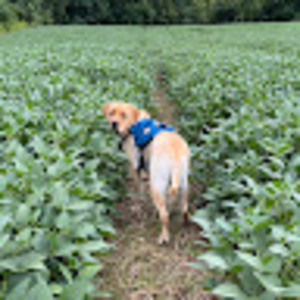 Meet your Posher, Barbara